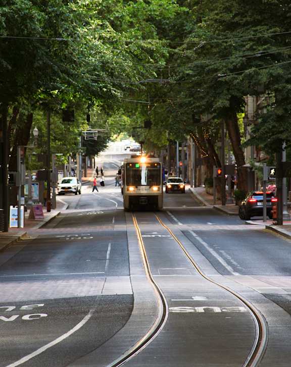 A tram is on a street with trees on the side.