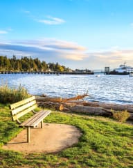 Bench Near Body of Water with Boat and Dock in Distance