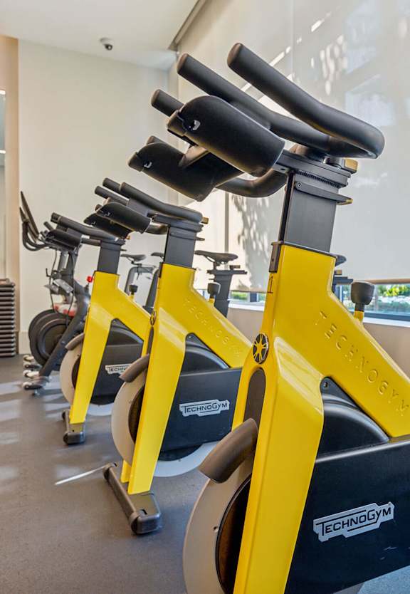 a gym with exercise equipment and large windows at The Merc, Waltham, Massachusetts