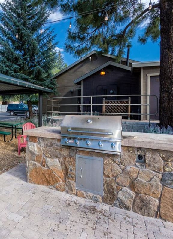 Outdoor Grill  at Woodlands Village Apartments, Arizona, 86001