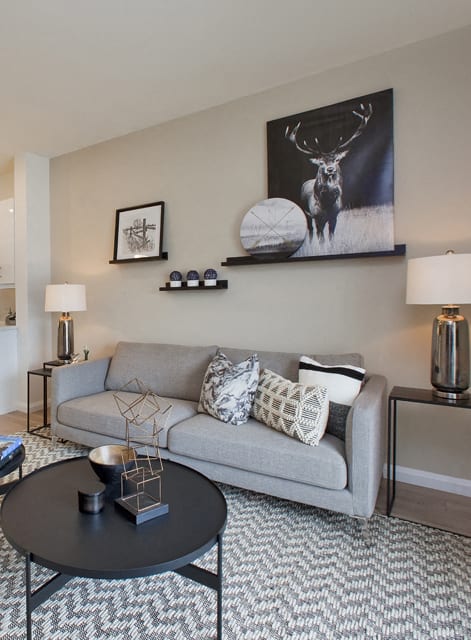 a living room with a blue couch and a large rug