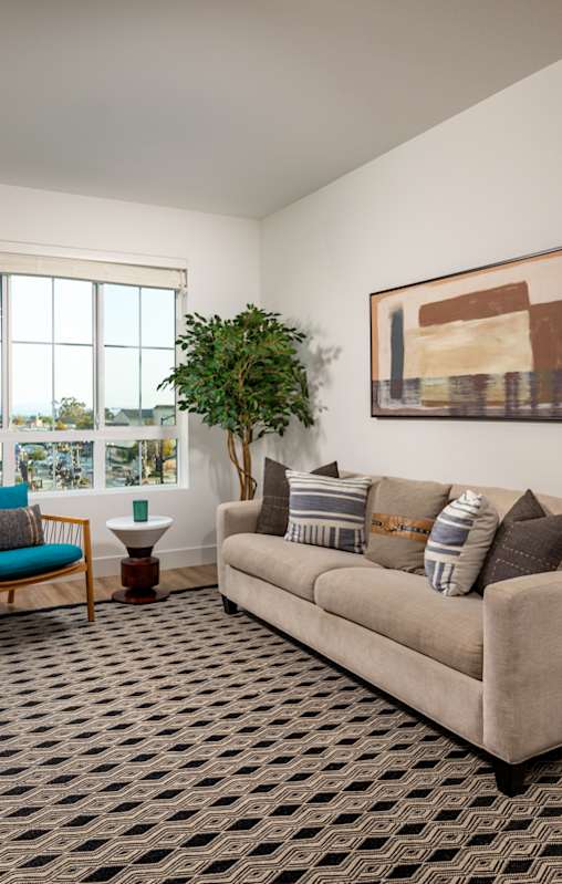 A living room with a couch, a chair, a potted plant, and a rug.