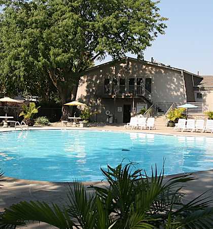 The refreshing pool area at Eden West Apartments, featuring lounge chairs and a serene environment.