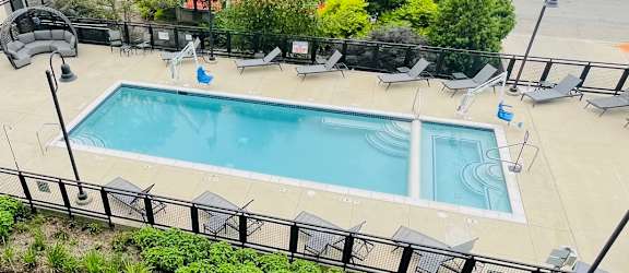 A pool surrounded by a green garden.