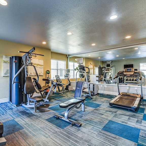 A gym with a variety of equipment including weights and cardio machines.