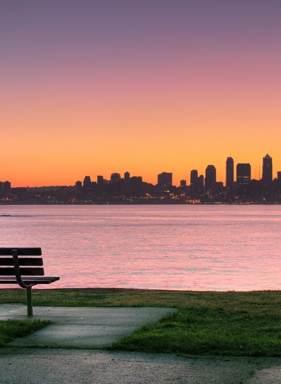 View of Seattle Skyline During Sunrise