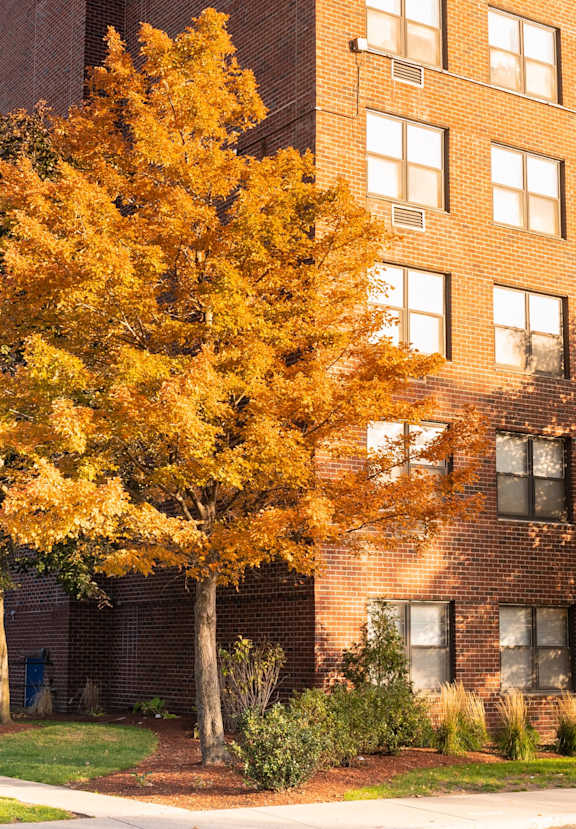 A tall building with a tree in front of it.