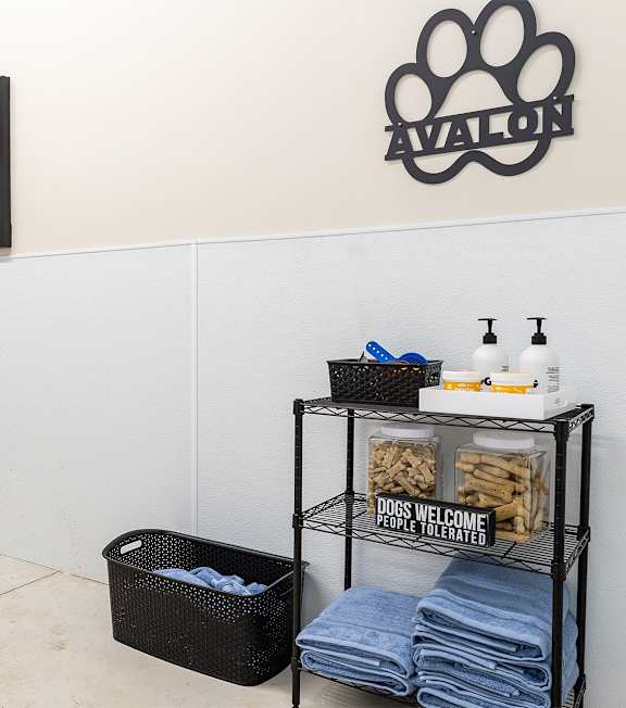A room with a white wall and a black basket on the floor.