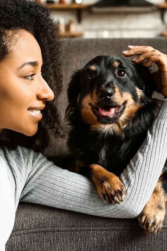 Dog Sitting on couch at Caldwell, Houston, Texas
