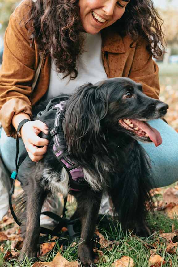 A woman is playing with her dog in a park.