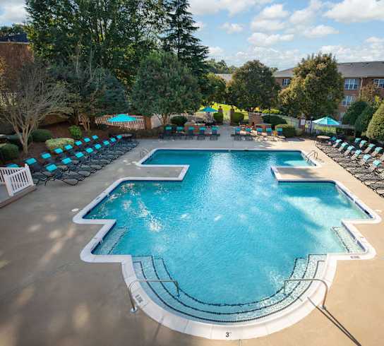A large outdoor swimming pool surrounded by lounge chairs and trees.