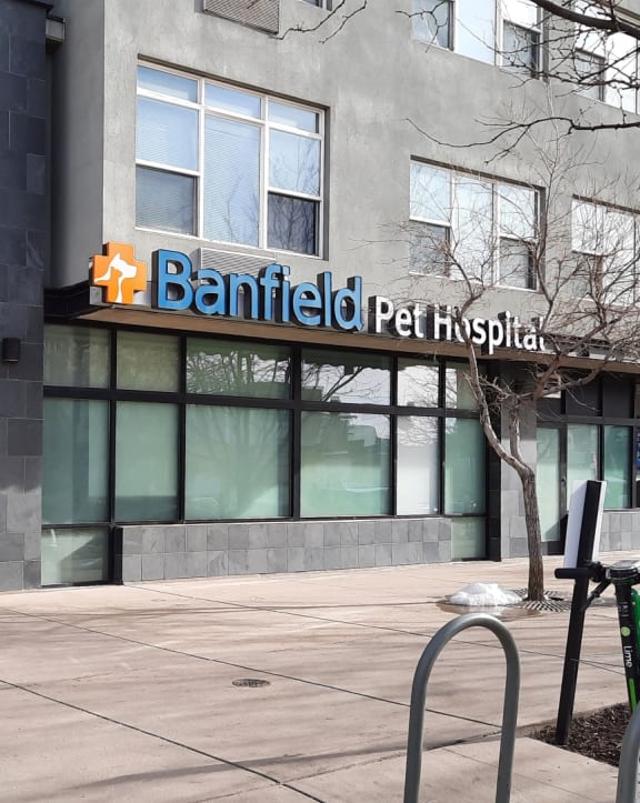 The Residences at Capitol Heights in Denver, CO Exterior and Banfield Pet Hospital Exterior