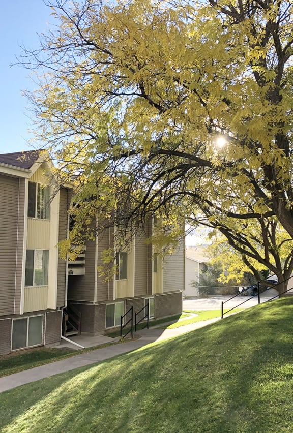exterior view of the apartment building with a grass hill and yellow tree
