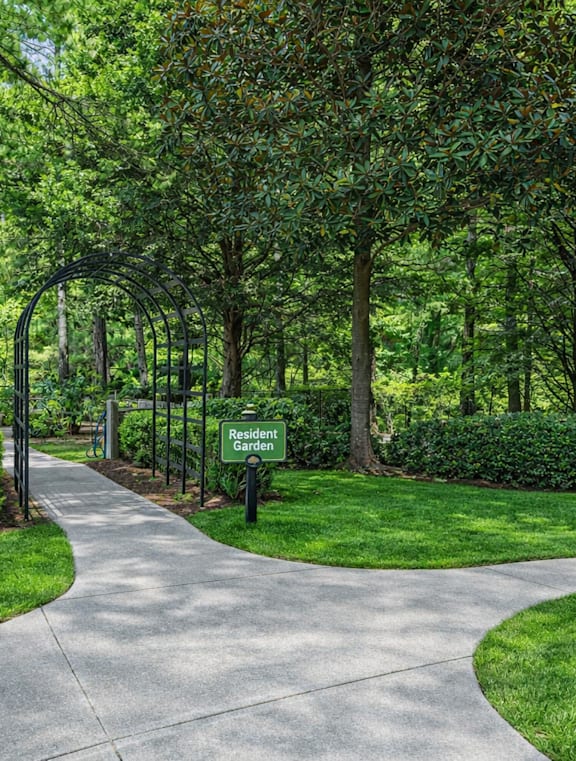 A walkway in a park with a bench on the right.