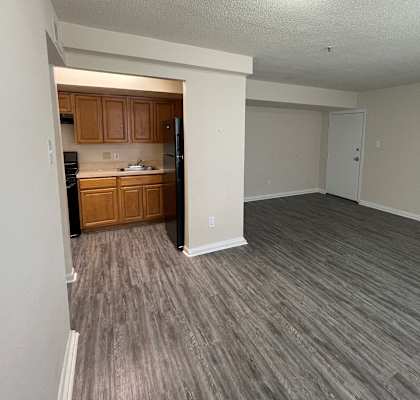 an empty living room and kitchen in an empty apartment