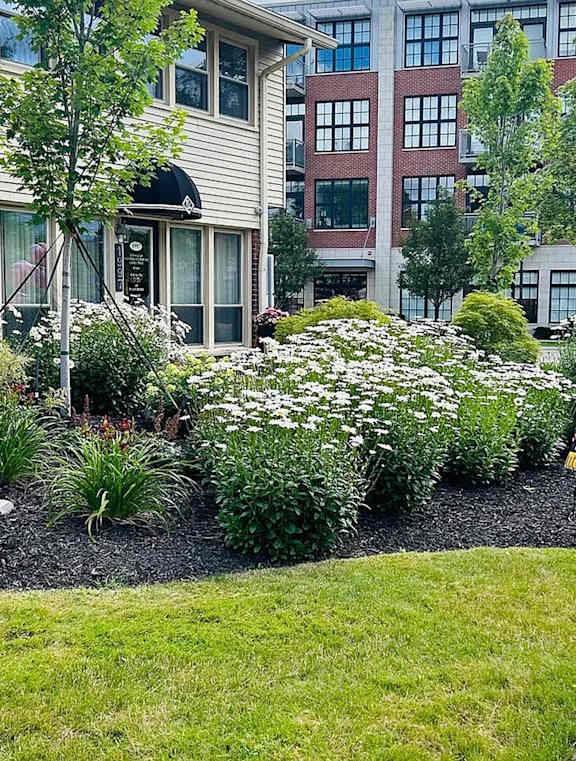 Beautiful Garden at Eton Square Apartments and Townhomes, Birmingham, MI, Michigan, 48009