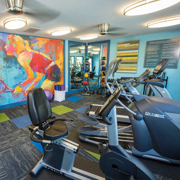A gym with a rowing machine, a treadmill, and a stationary bike.