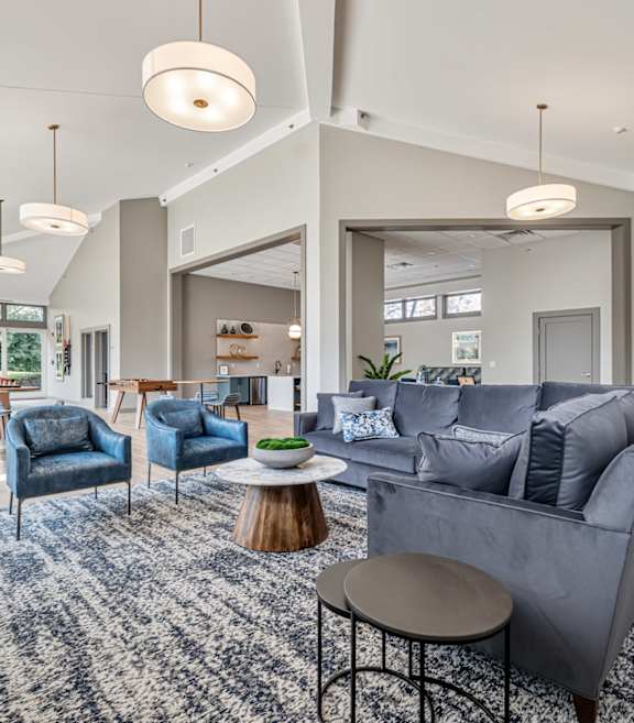 A modern living room with a grey sofa and blue chairs.