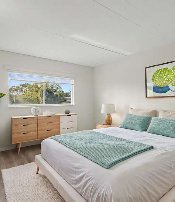 A bedroom with a large bed, a dresser, and a potted plant.