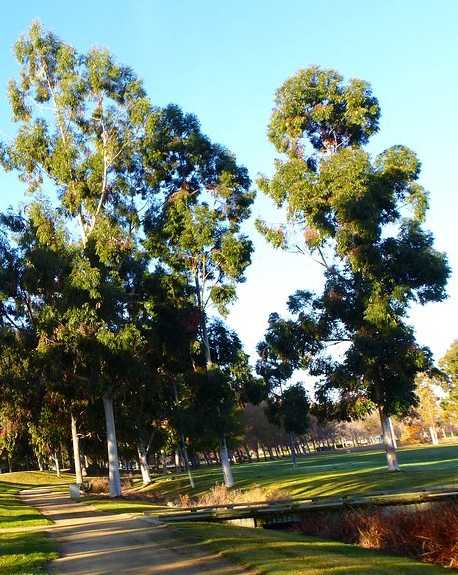 A park with a pathway and trees.