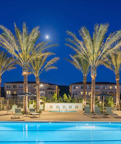 large swimming pool at night with palm trees in the background