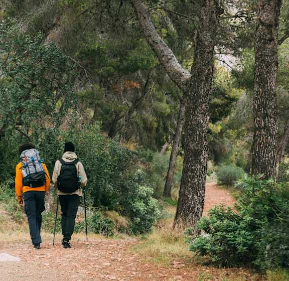 Two people walking on a dirt path in a wooded area.