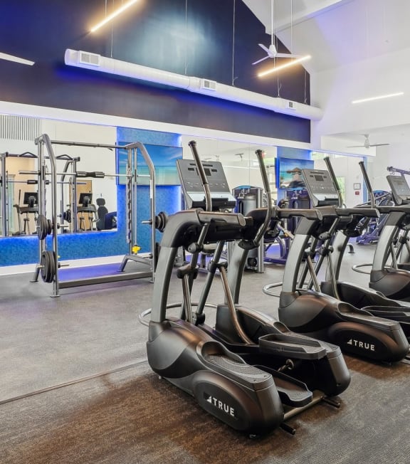 Main Fitness Area