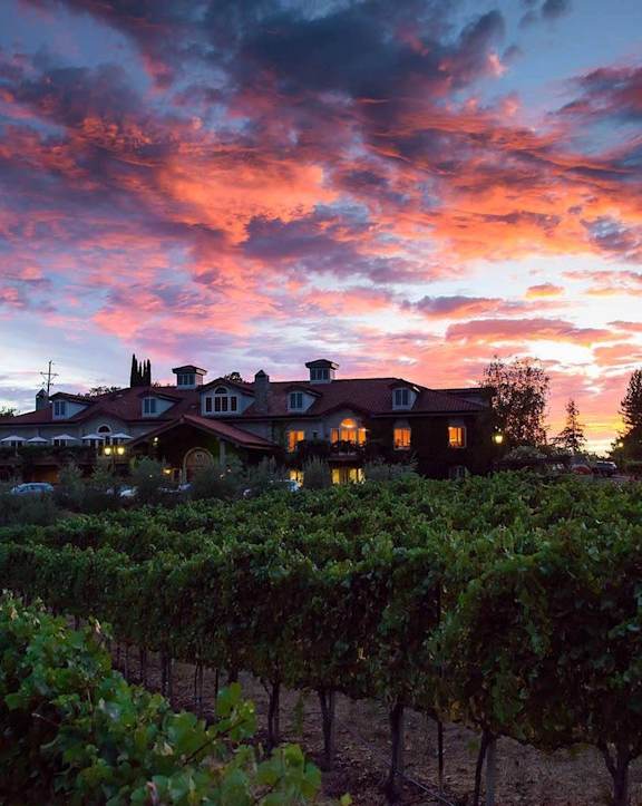 A vineyard at sunset with a house in the background.