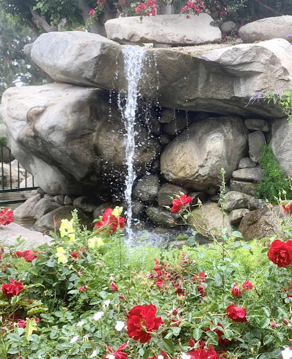 A garden with a waterfall and red flowers.