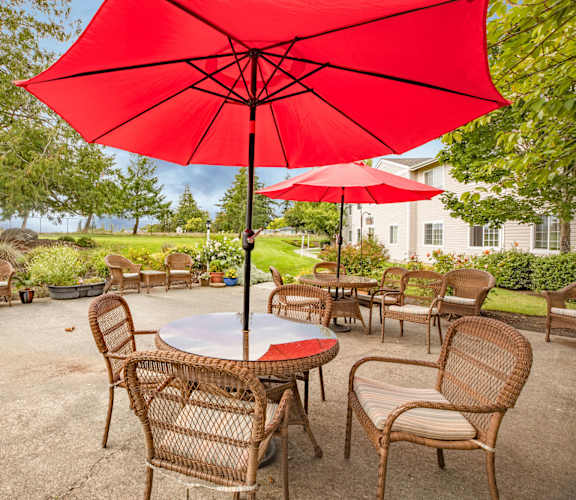 AR Patio
