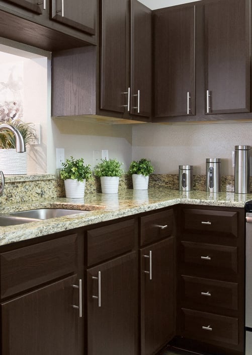 Gourmet Kitchen at The Preserve at Tampa Palms Apartments in Tampa, FL