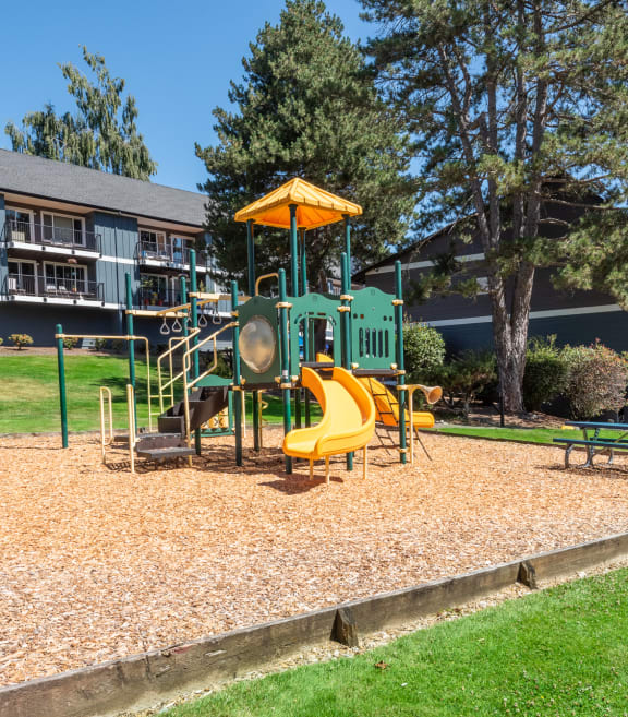 Shadow Hills playground