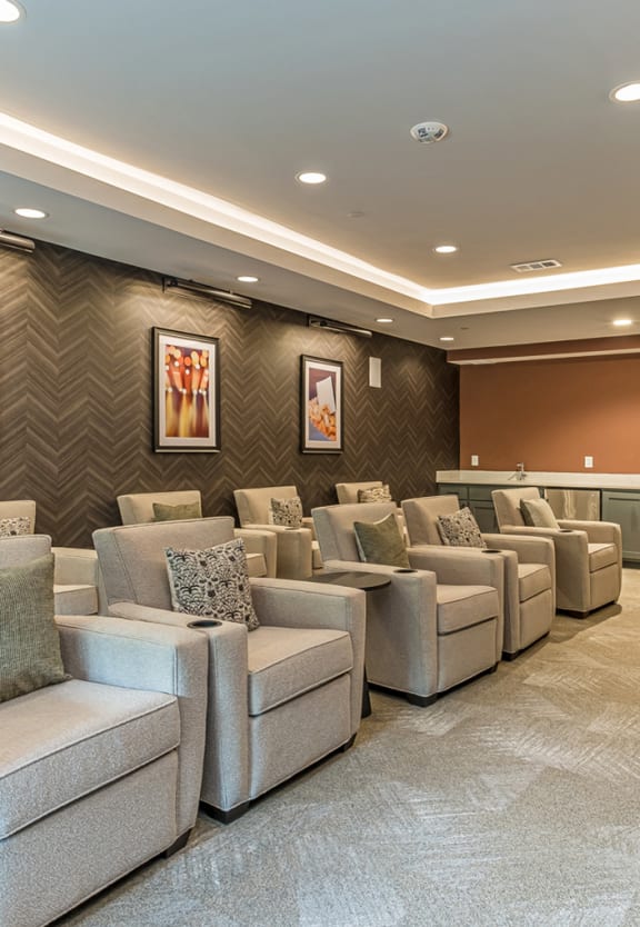 Dominium-Grayson Ridge-Theater Room