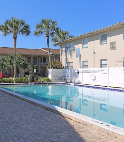A pool surrounded by palm trees and chairs.