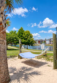 A playground with a blue tarp and a palm tree.