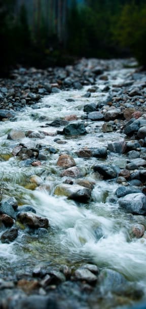 River with rocks