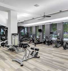 A gym with a variety of exercise equipment.