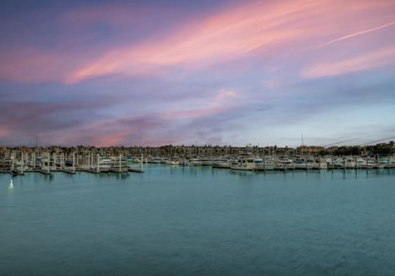 View of Marina at Dusk