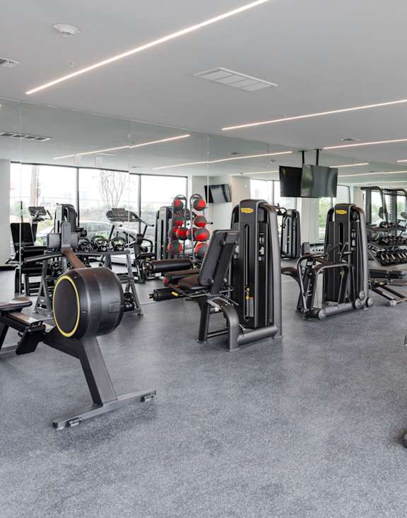 A gym with a variety of equipment including treadmills, weights, and exercise machines.at 829 Garfield, New Jersey