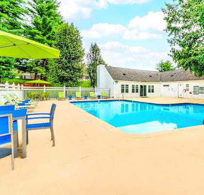 A swimming pool surrounded by trees and a small building.