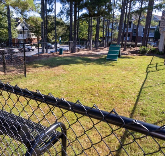 a goose in a fenced in area with trees in the background