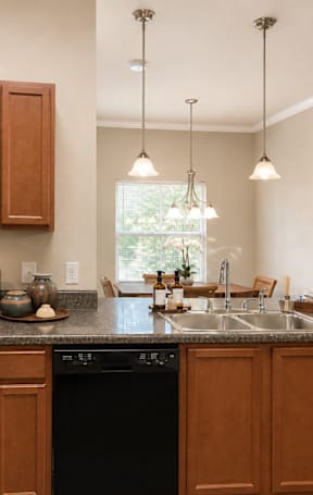 A kitchen with black appliances and wooden cabinets.