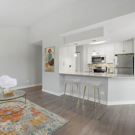 A modern kitchen with a bar and a rug on the floor.