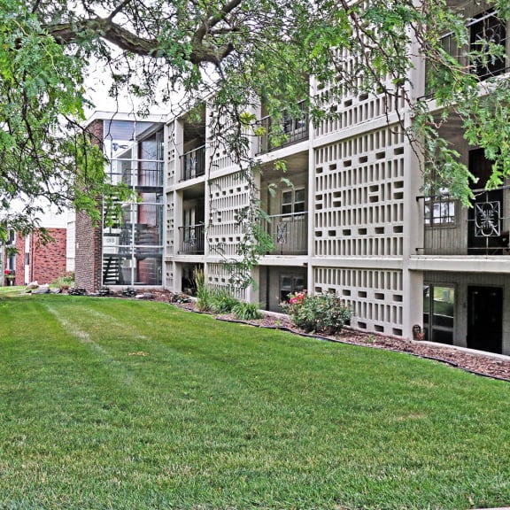 Tara Heights