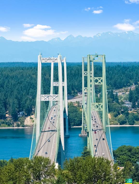 A large green bridge spans a body of water with a mountain in the background.
