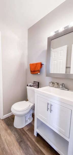 a bathroom with a toilet and a sink and a mirror