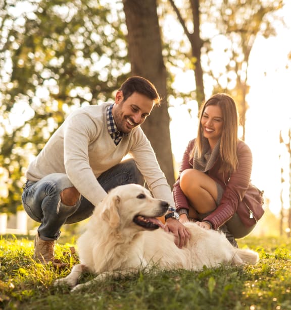 young couple playing with their dog in the park