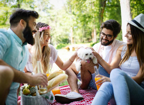 a group of people sitting on a picnic blanket with a dog