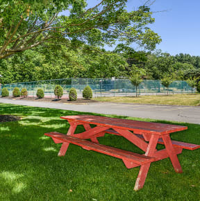 Grill And Picnic Area| Cliffside
