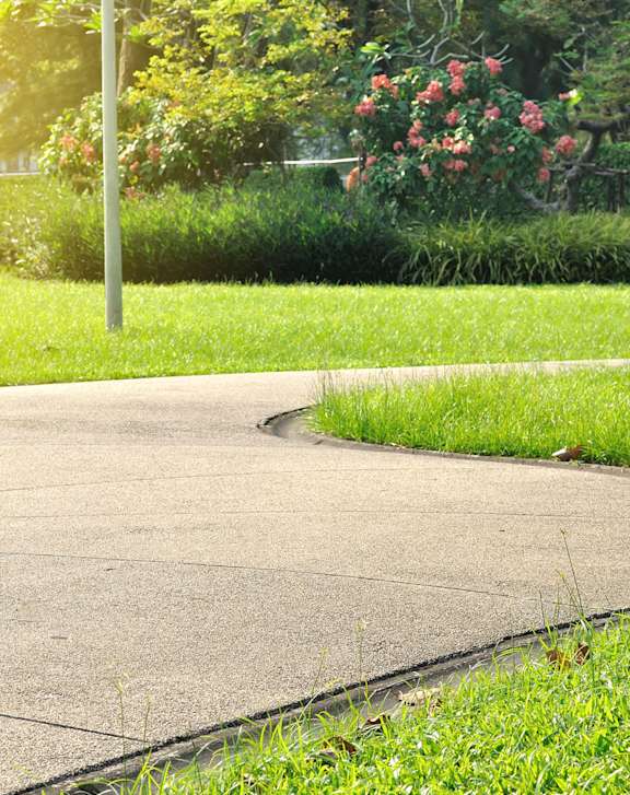 A curved concrete walkway in a park with green grass and trees.